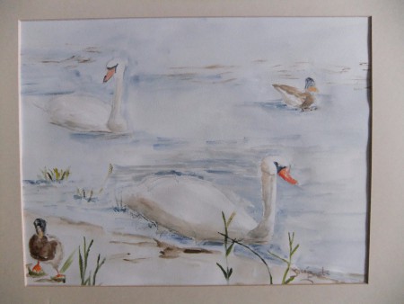 Aan het comomeer 2013,aquarel